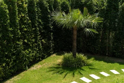 Royal Palm Luxury Villas – Photos 16